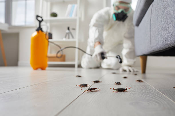 Commercial Kitchen Cockroach Control in East Petersburg